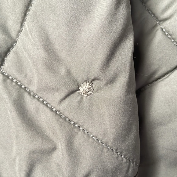 AE Quilted Jacket - Picture 3 of 3
